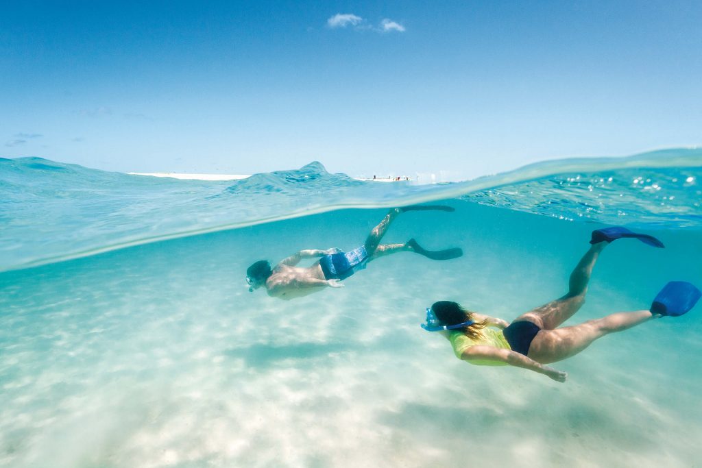 Snorkelling Michaelmas Cay Great Barrier Reef