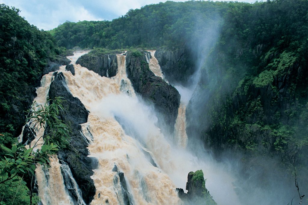 Cairns Great Barrier Reef 世界最古の熱帯雨林