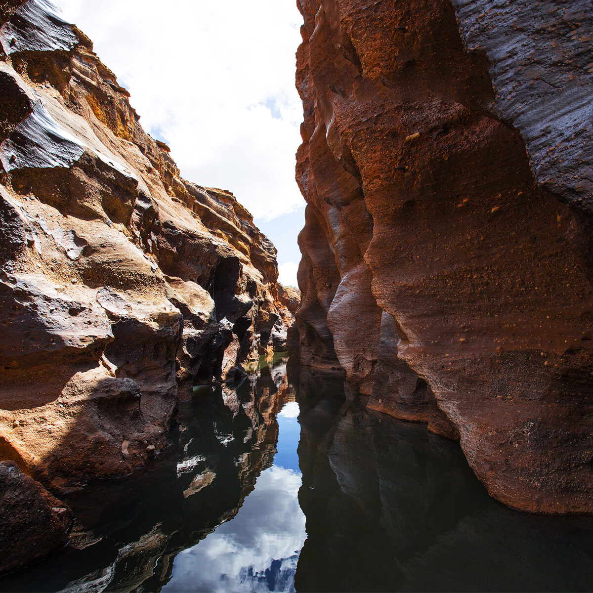 Cairns & Great Barrier Reef | 大地の不思議