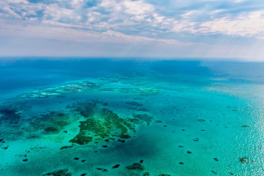 グレートバリアリーフ