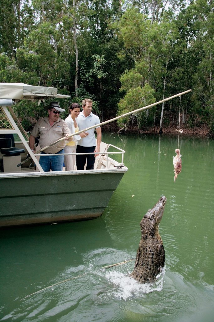 Feeding a crocodile on the lagoon cruise at Hartley's Crocodile Adventures
