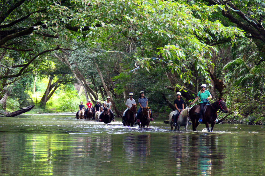 Mountain N Rideの乗馬で川を渡る