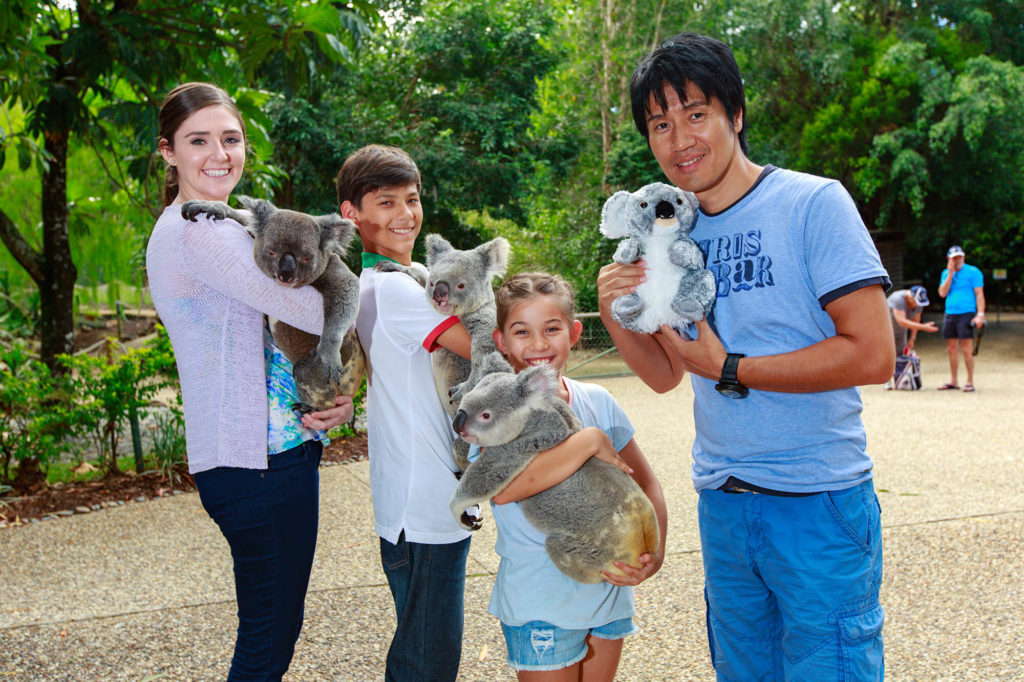 ケアンズでコアラ抱っこ
