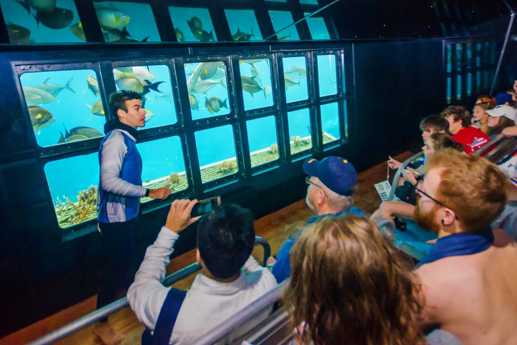 marine biologist on sunlover reef cruises