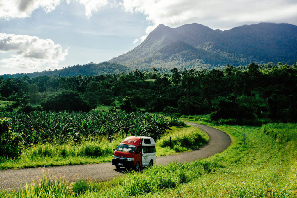 ケアンズドライブ