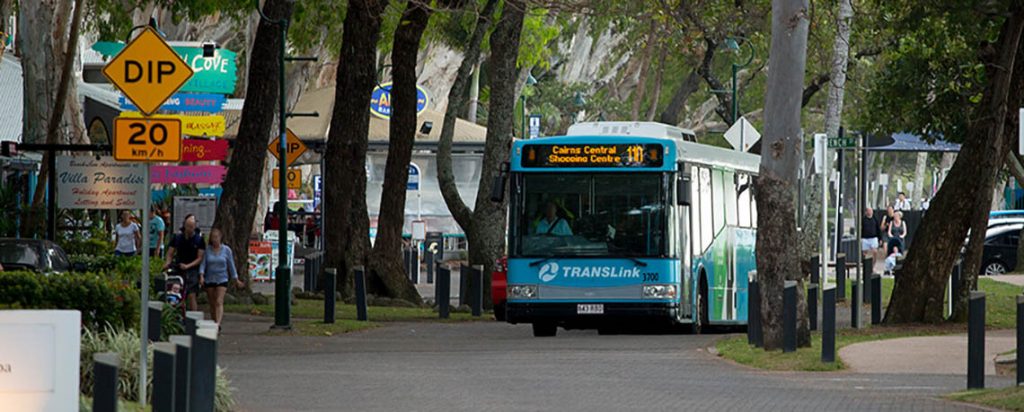 Bus at palm cove
