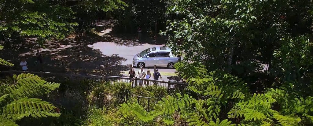 Car at Alexandra Lookout