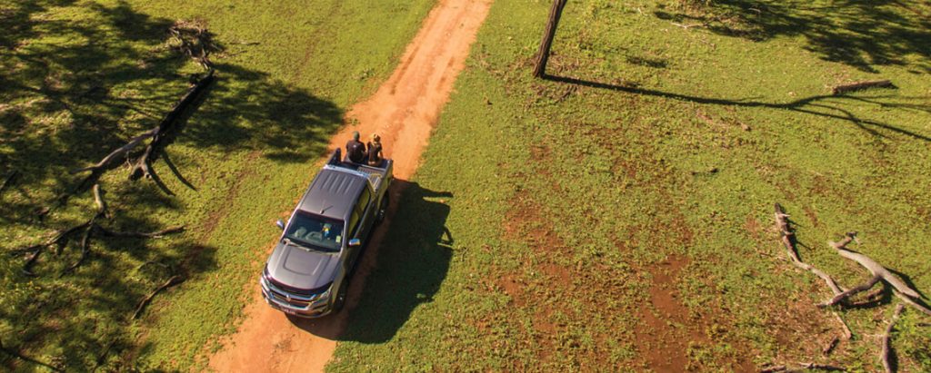 Driving in the Gulf Savannah