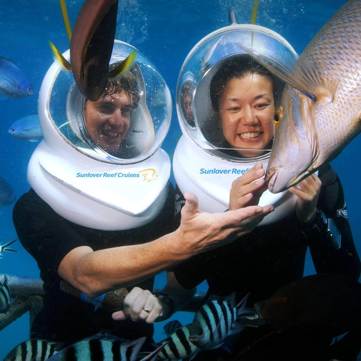 Cairns & Great Barrier Reef | ヘルメットダイブ