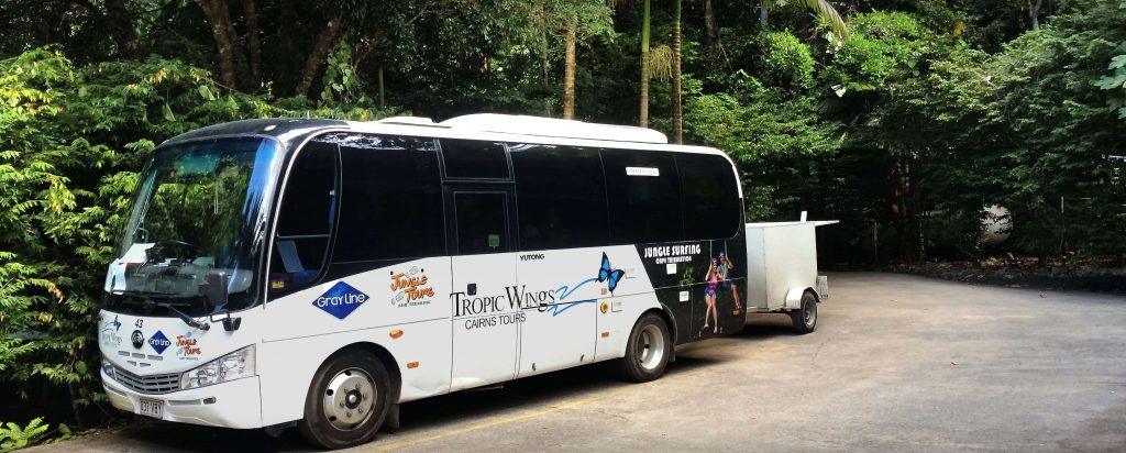 Tropic Wings but in Cape Tribulation