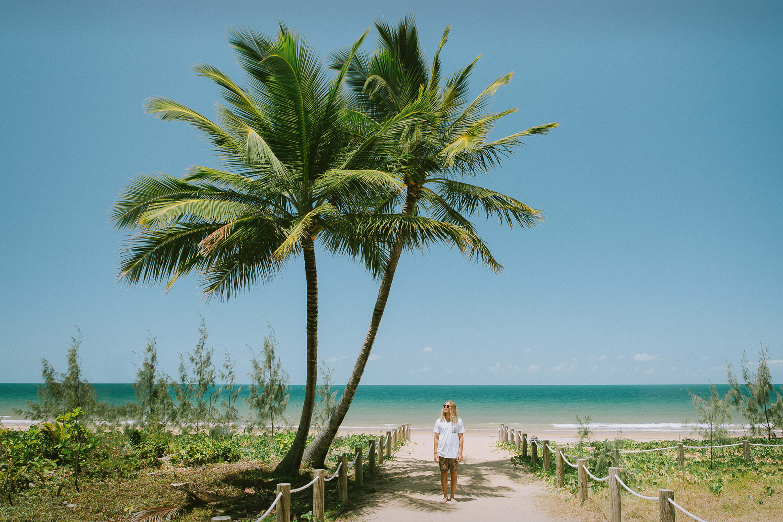 Person next to palm tree on mission beach