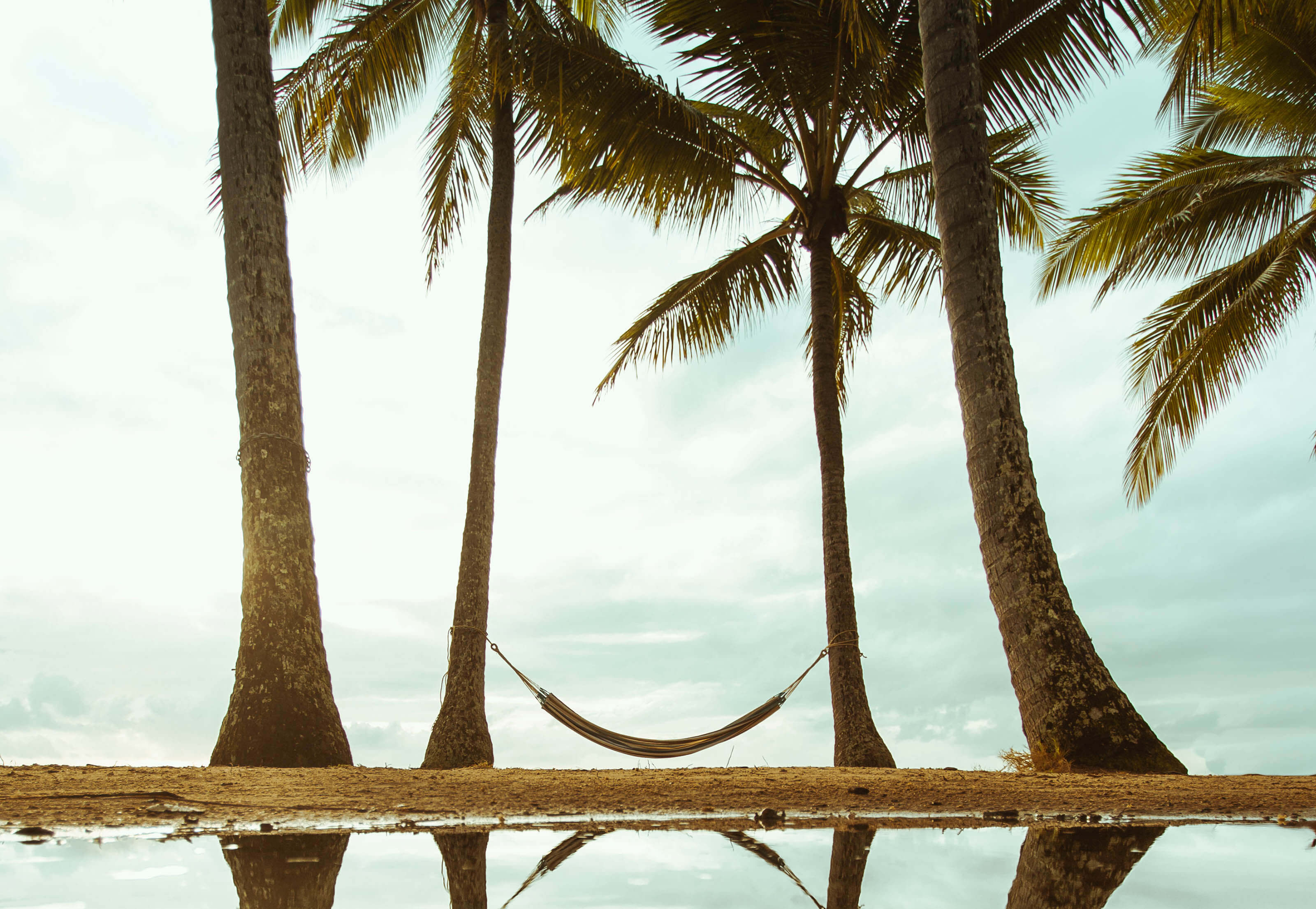 Hammock and trees at Palm cove